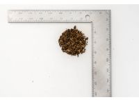 Mushroom Compost